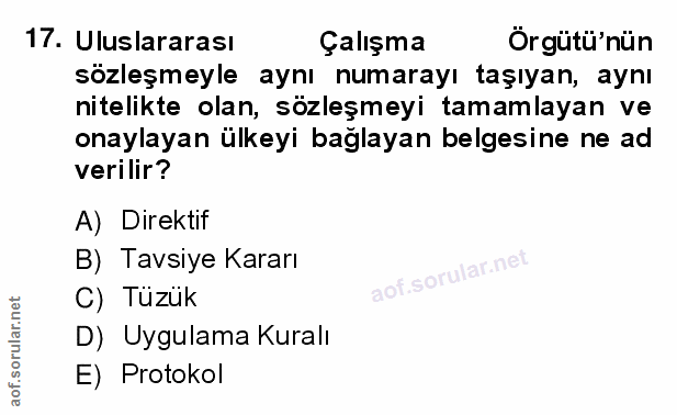 Soru 17