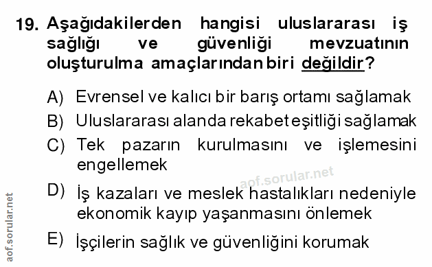 Soru 19
