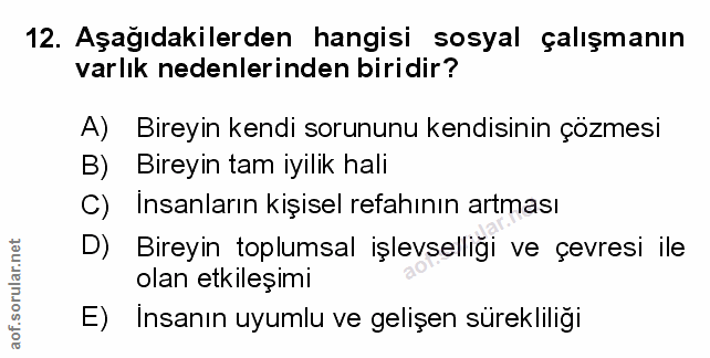 Soru 12