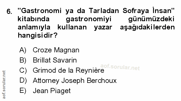 Soru 6