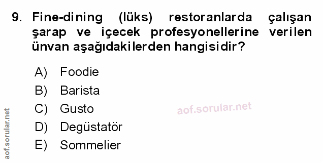 Soru 9