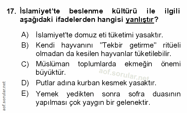 Soru 17