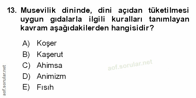 Soru 13