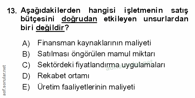 Soru 13