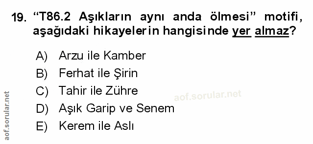 Soru 19