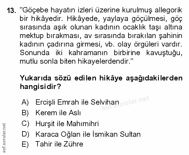 Soru 13