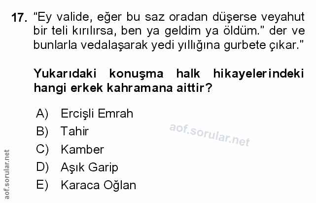Soru 17
