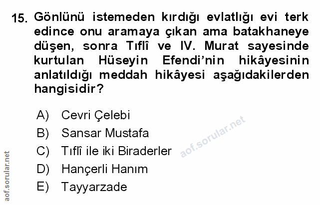 Soru 15