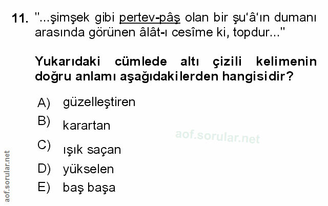 Soru 11