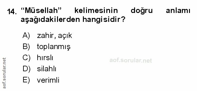 Soru 14