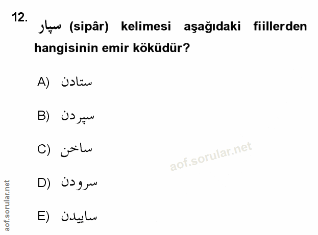 Soru 12