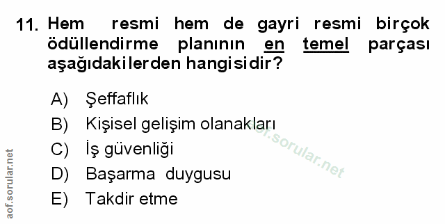 Soru 11