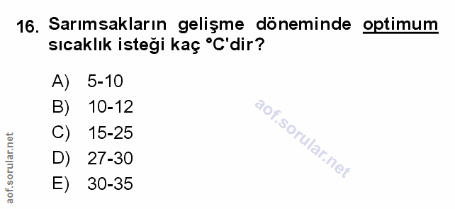 Soru 16