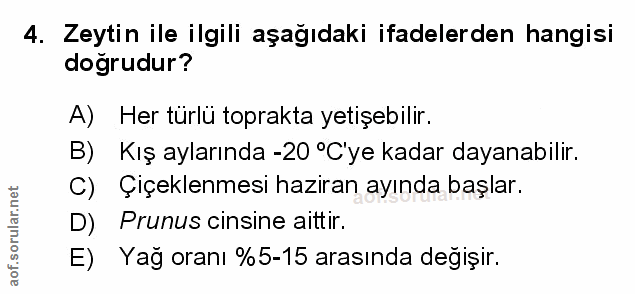 Soru 4