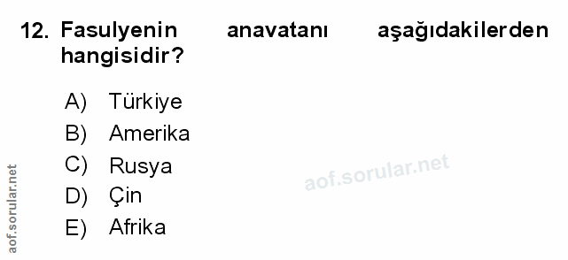 Soru 12