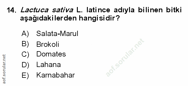 Soru 14