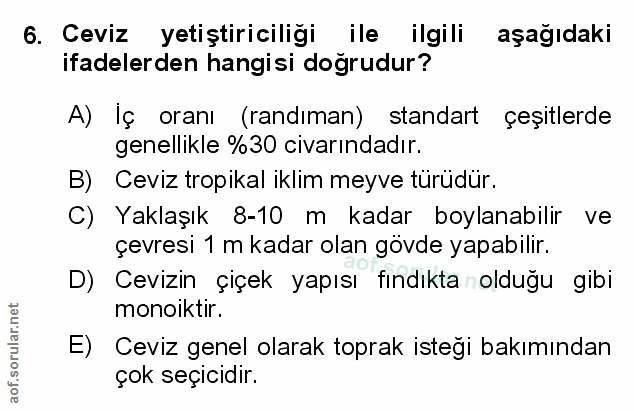 Soru 6