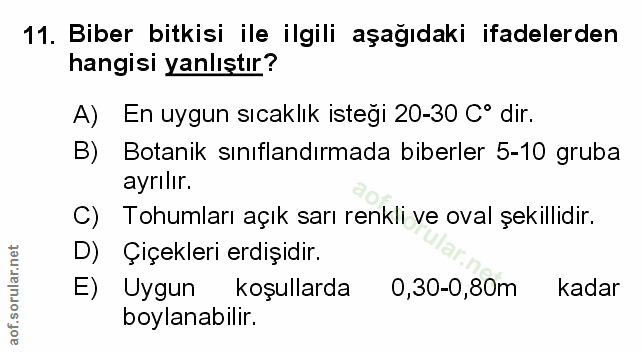 Soru 11