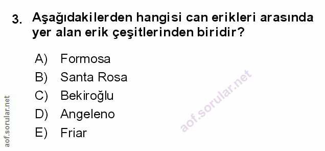 Soru 3
