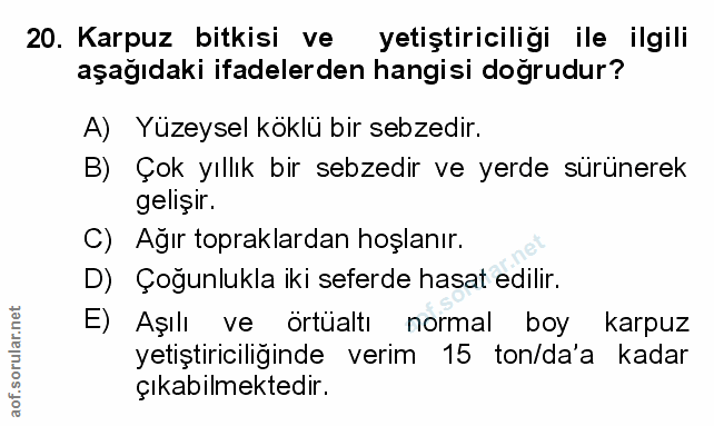 Soru 20