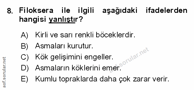 Soru 8