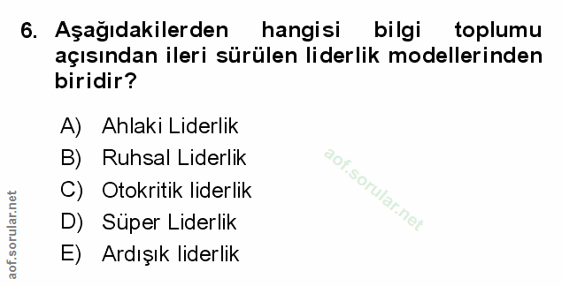 Soru 6