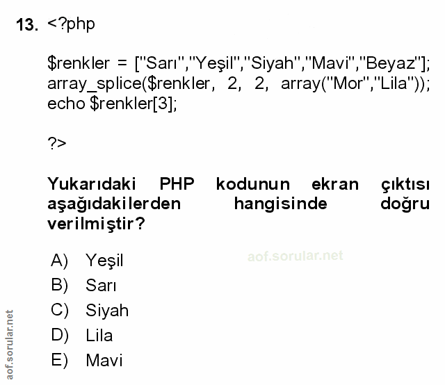Soru 13