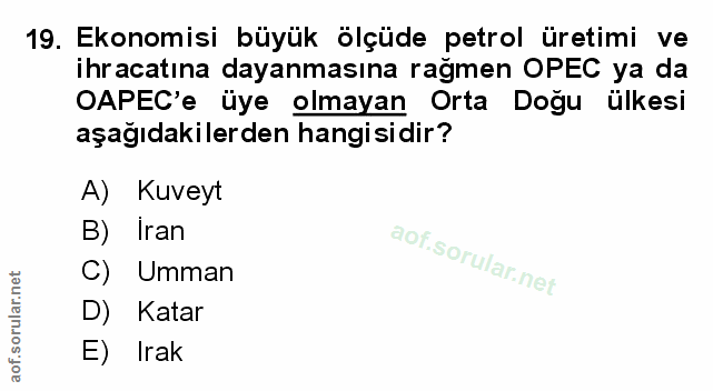 Soru 19