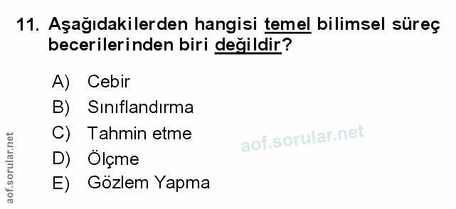Soru 11