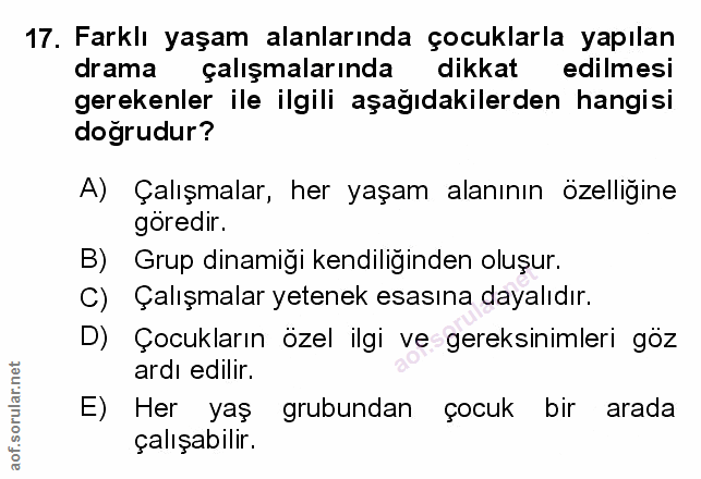 Soru 17