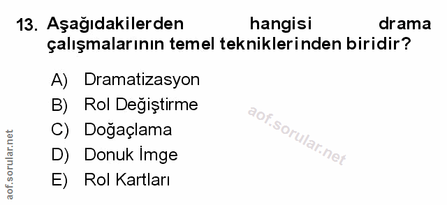 Soru 13
