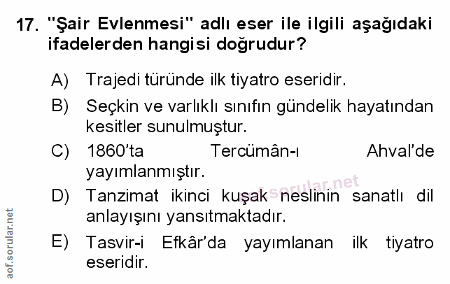 Soru 17