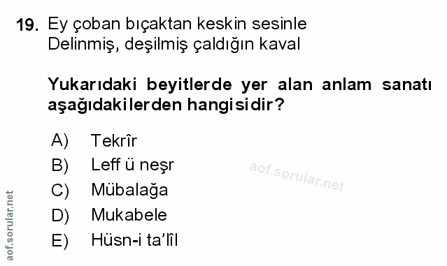 Soru 19