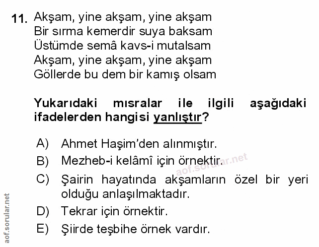 Soru 11