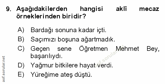 Soru 9