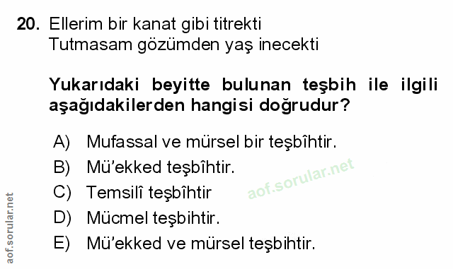 Soru 20