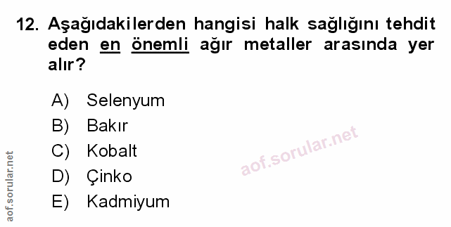 Soru 12