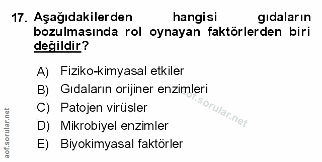 Soru 17