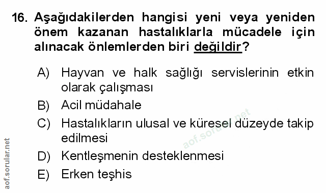 Soru 16