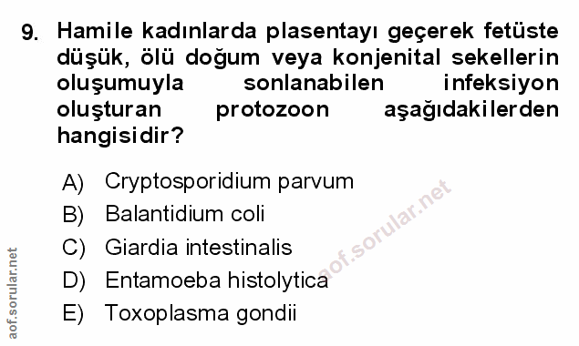 Soru 9