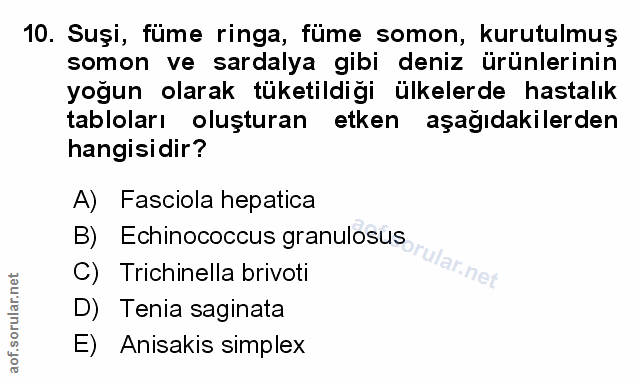 Soru 10