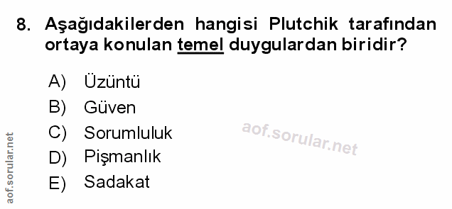 Soru 8