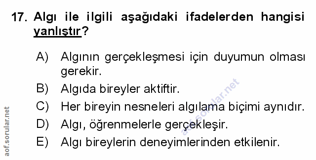 Soru 17