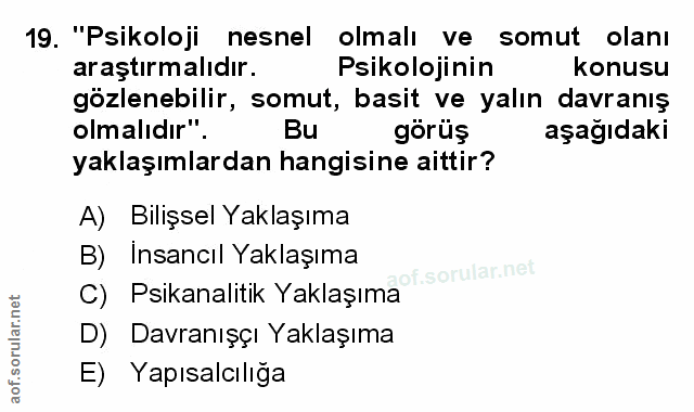 Soru 19