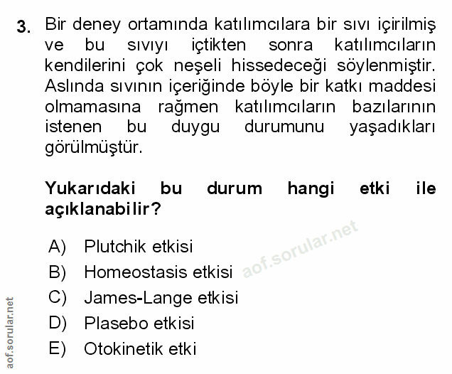 Soru 3