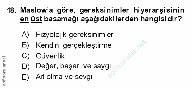 Soru 18
