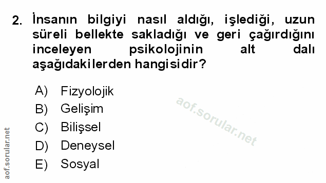 Soru 2