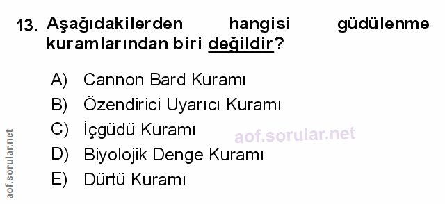 Soru 13