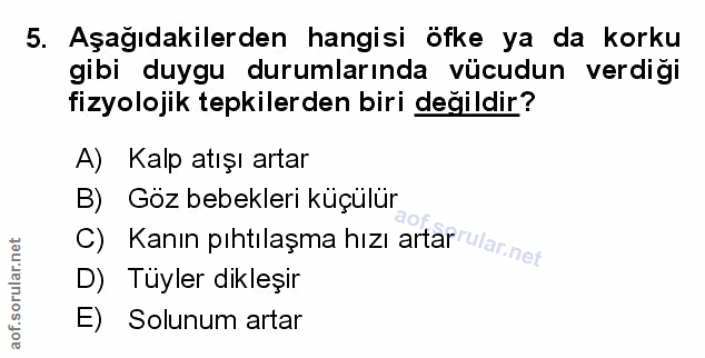 Soru 5