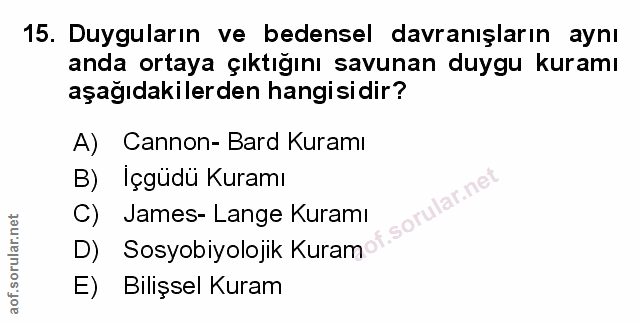 Soru 15